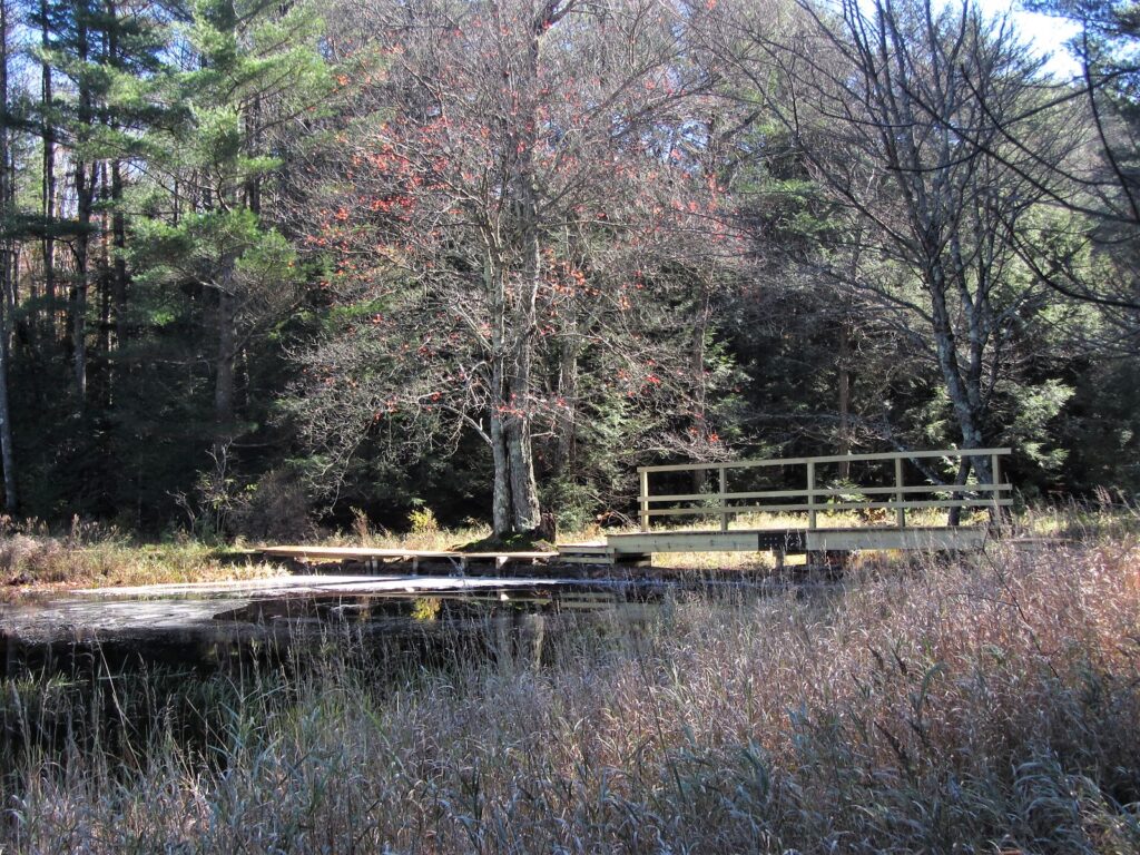 Highlights at the Center Dyken Pond Environmental Education Center
